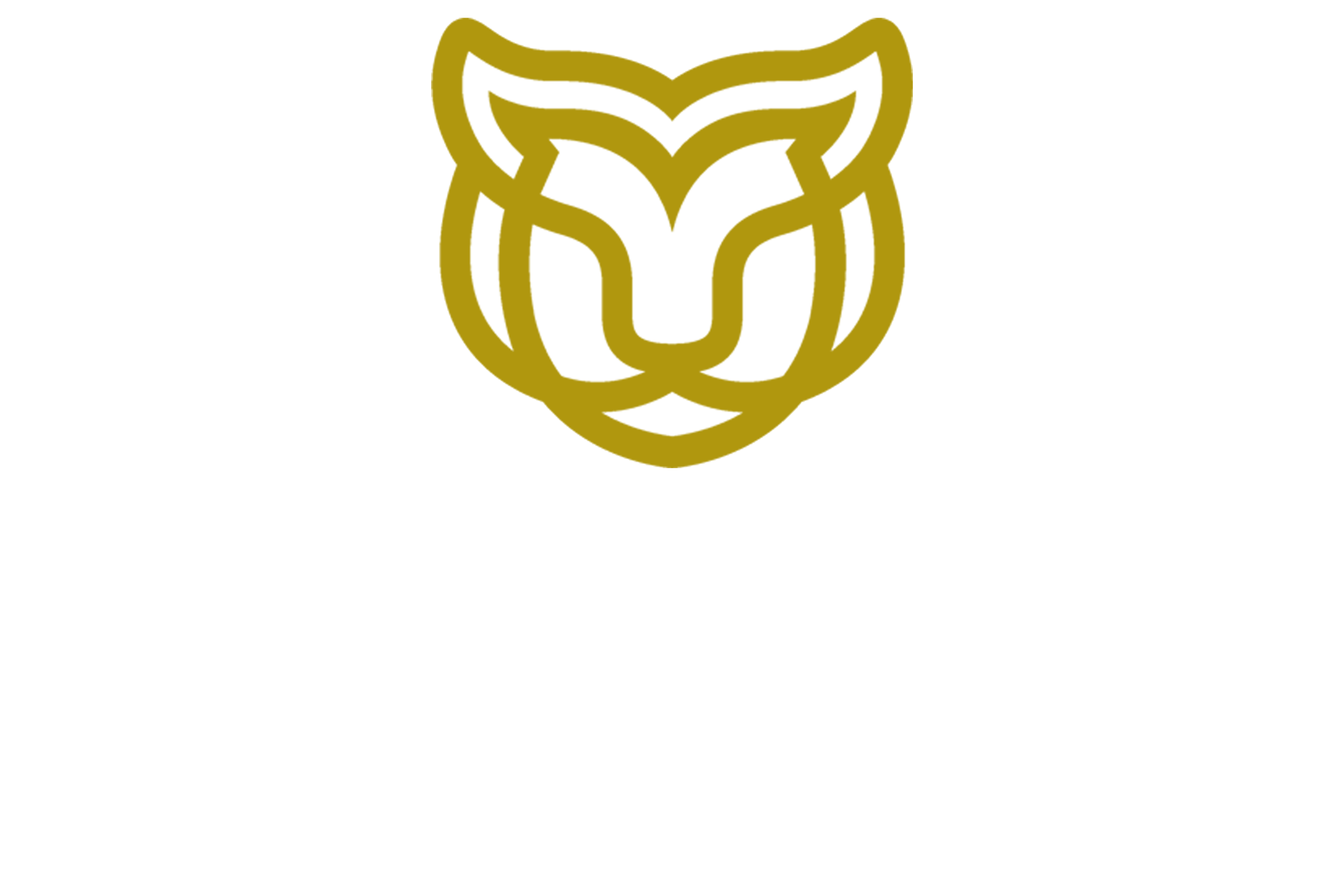 Catwalk Advisory